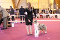 IMG_0257