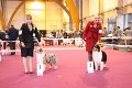 IMG_0275