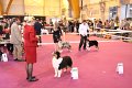 IMG_0282