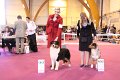 IMG_0295