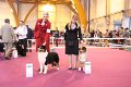 IMG_0304