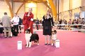 IMG_0305