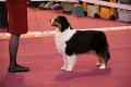IMG_0319