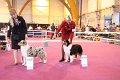 IMG_0327