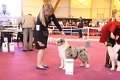 IMG_0338