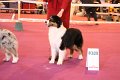 IMG_0347