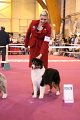 IMG_0354