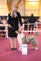 IMG_0358