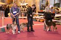 IMG_0366