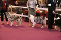 IMG_0371