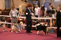 IMG_0376