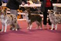 IMG_0395