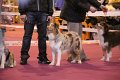 IMG_0397
