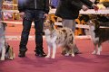 IMG_0398