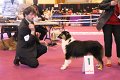 IMG_0429