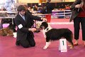IMG_0436