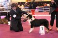 IMG_0437