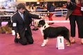 IMG_0440
