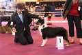 IMG_0444