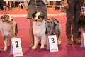 IMG_0451