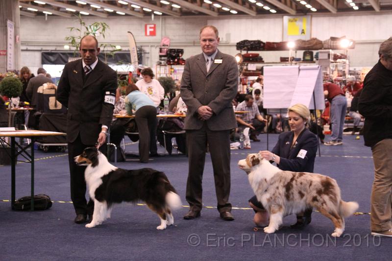 IMG_0342.JPG