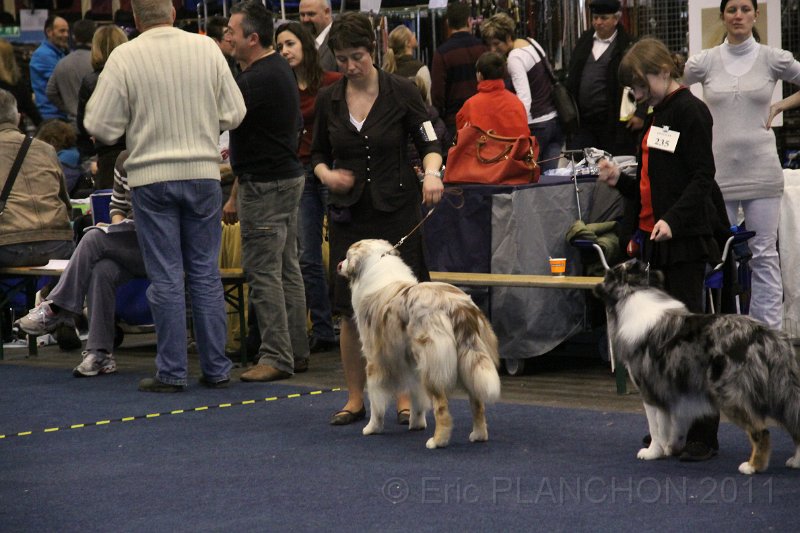 IMG_0570.JPG