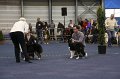 IMG_0495