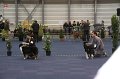 IMG_0503