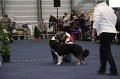 IMG_0512