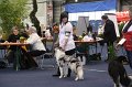 IMG_0520