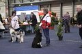 IMG_0521