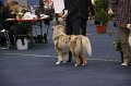IMG_0527