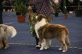 IMG_0531