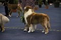 IMG_0533