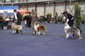 IMG_0541