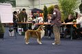 IMG_0542