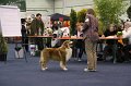IMG_0543