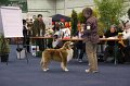 IMG_0544