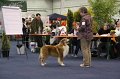 IMG_0545
