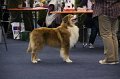 IMG_0549