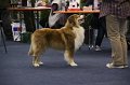 IMG_0550