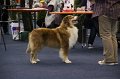 IMG_0551