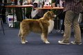 IMG_0552