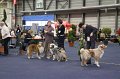 IMG_0556