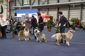 IMG_0558