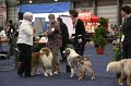 IMG_0560