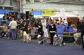 IMG_0563