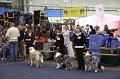 IMG_0565