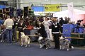 IMG_0566