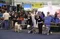 IMG_0567